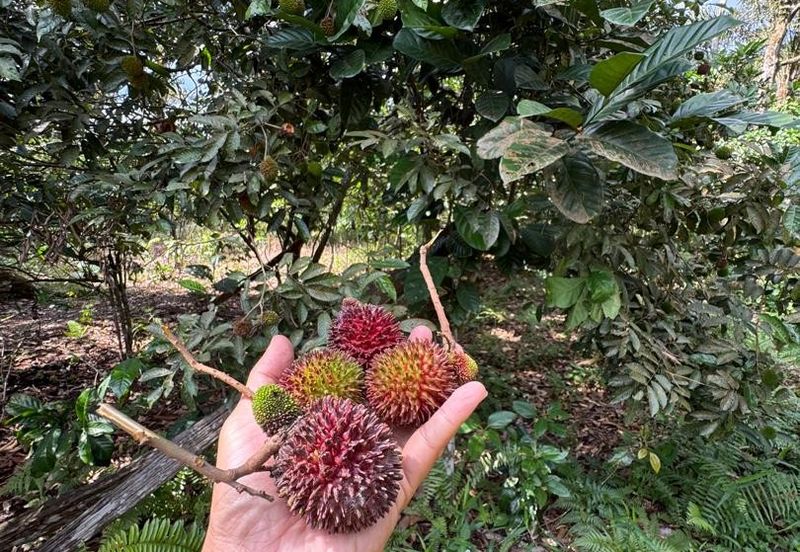 Bandar Baru Kangkar Pulai