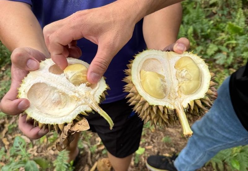 Bandar Baru Kangkar Pulai