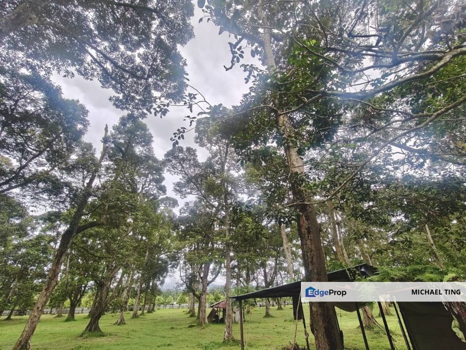 Pekan Nanas Agricultural Land For Sale, Johor, Pontian