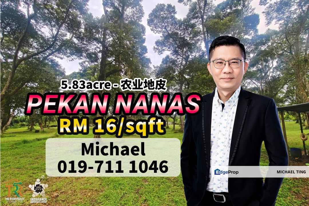 Pekan Nanas Agricultural Land For Sale, Johor, Pontian