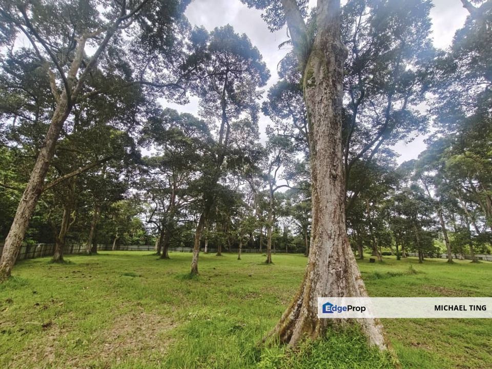 Pekan Nanas Agricultural Land For Sale, Johor, Pontian