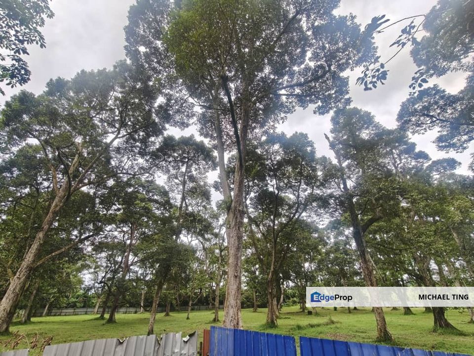 Pekan Nanas Agricultural Land For Sale, Johor, Pontian