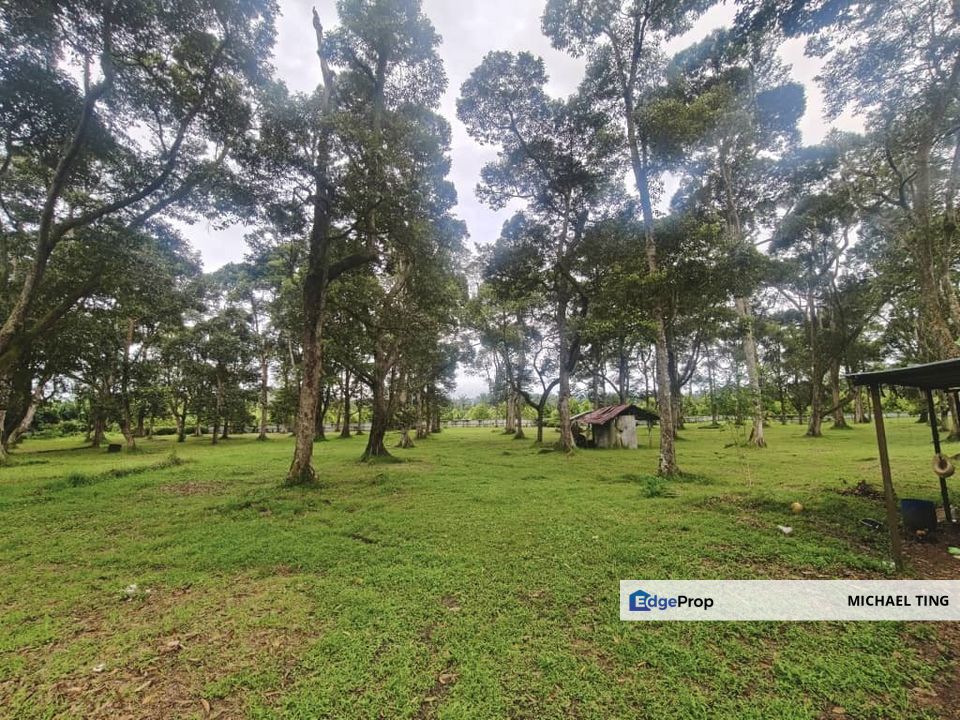 Pekan Nanas Agricultural Land For Sale, Johor, Pontian