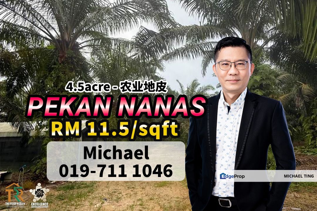 Pekan Nanas Agricultural Land For Sale, Johor, Pontian