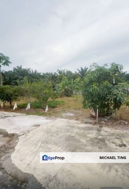 Pekan Nanas Agricultural Land For Sale, Johor, Pontian