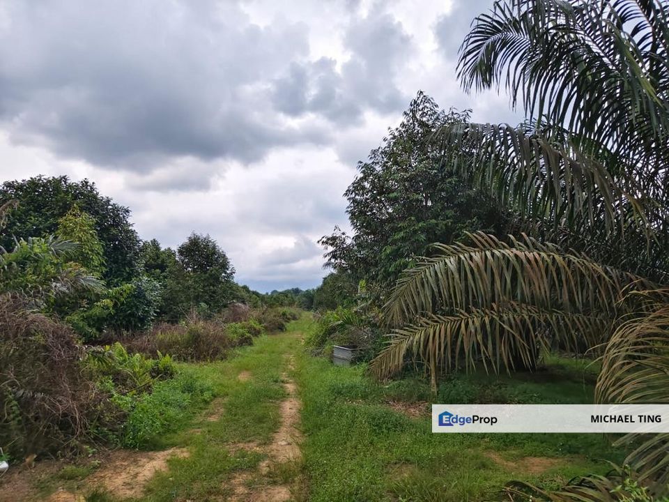 Yong Peng Agricultural Land For Sale, Johor, Kluang