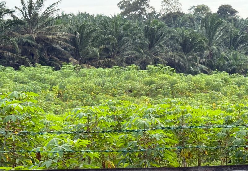 Bandar Baru Kangkar Pulai