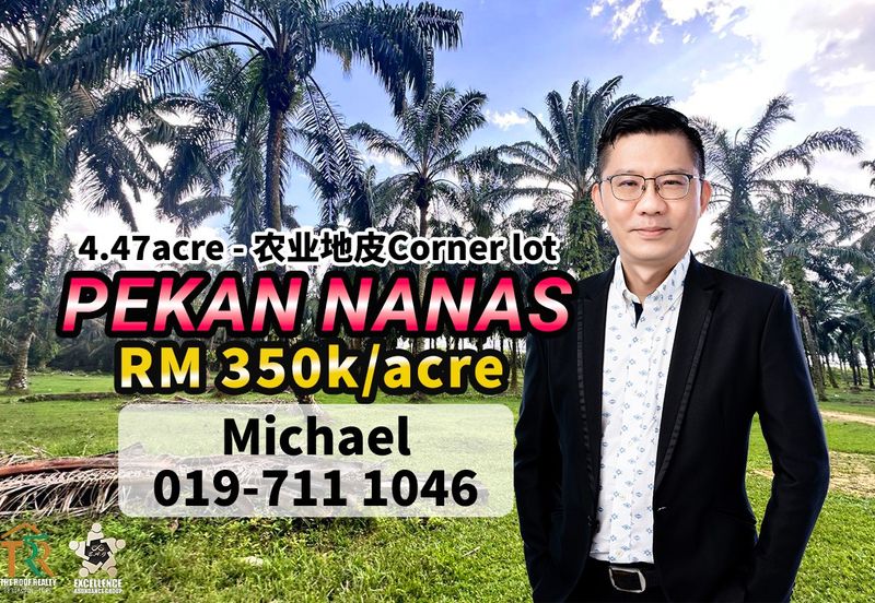 Pekan Nanas