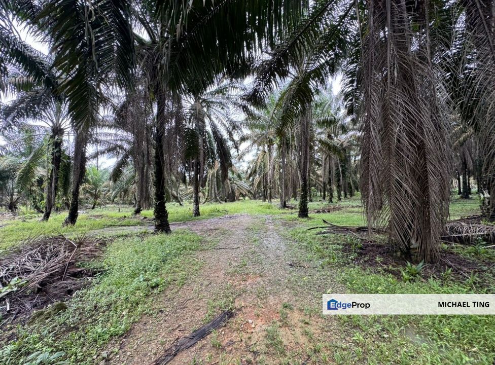 Simpang Renggam Agricultural Land For Sale, Johor, Kluang