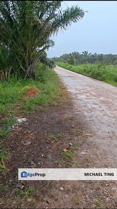 Ayer Baloi Agricultural Land For Sale, Johor, Pontian
