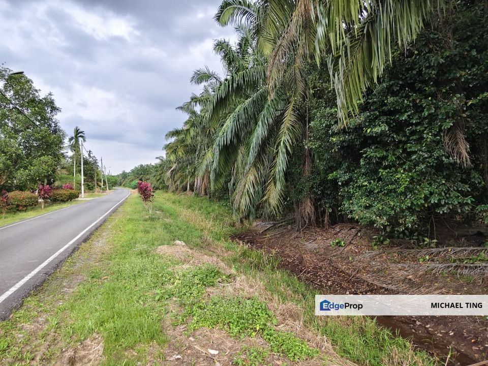 Ayer Baloi Agricultural Land For Sale, Johor, Pontian