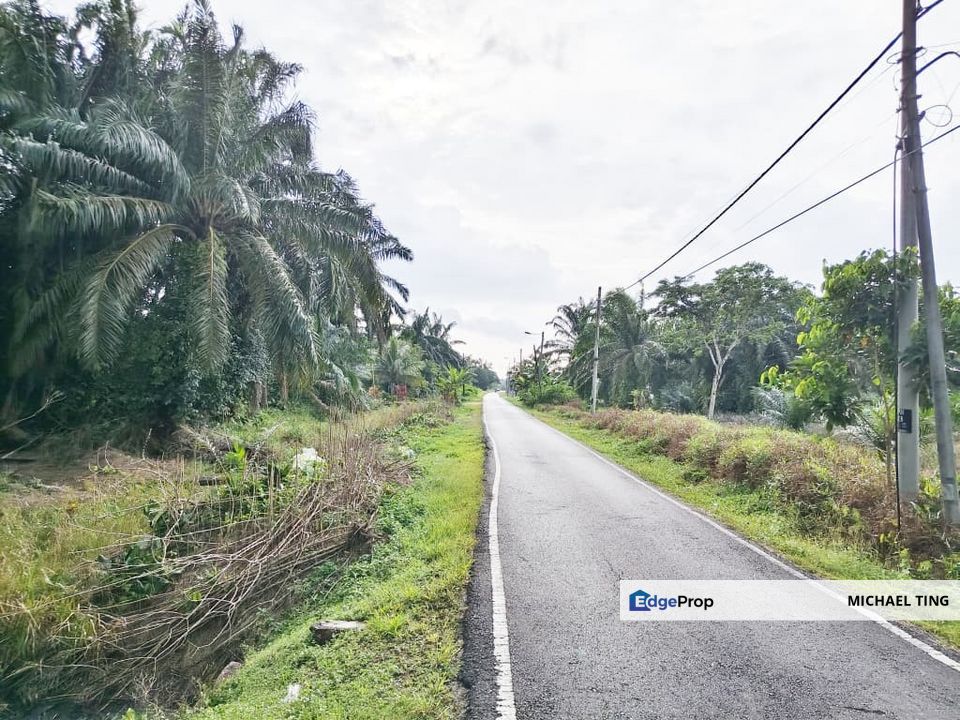 Ayer Baloi Agricultural Land For Sale, Johor, Pontian