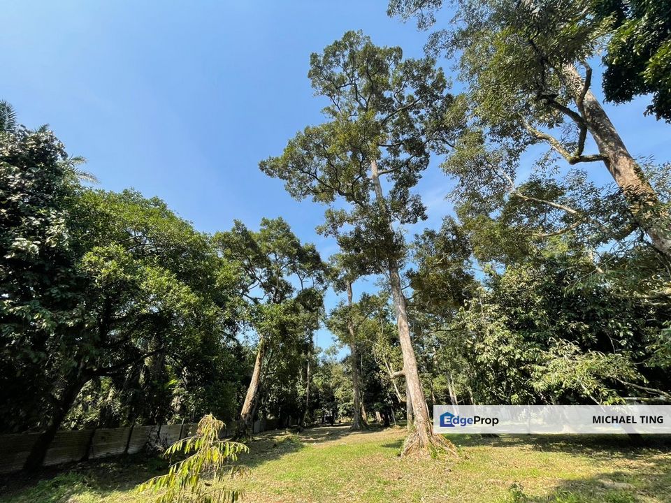 Teluk Kerang Agricultural Land For Sale, Johor, Pontian