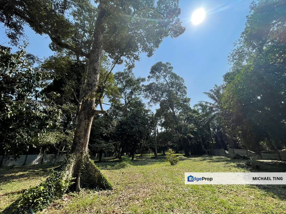 Teluk Kerang Agricultural Land For Sale, Johor, Pontian