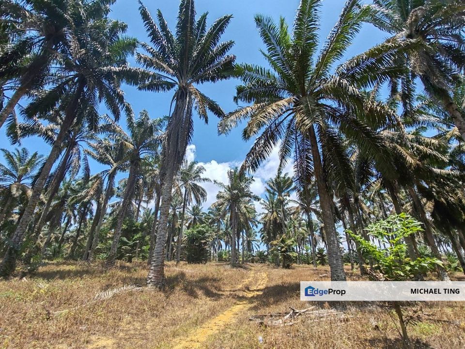 Layang-Layang Agricultural Land For Sale, Johor, Kulai