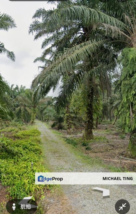 Parit Kudus Agricultural Land For Sale, Johor, Pontian