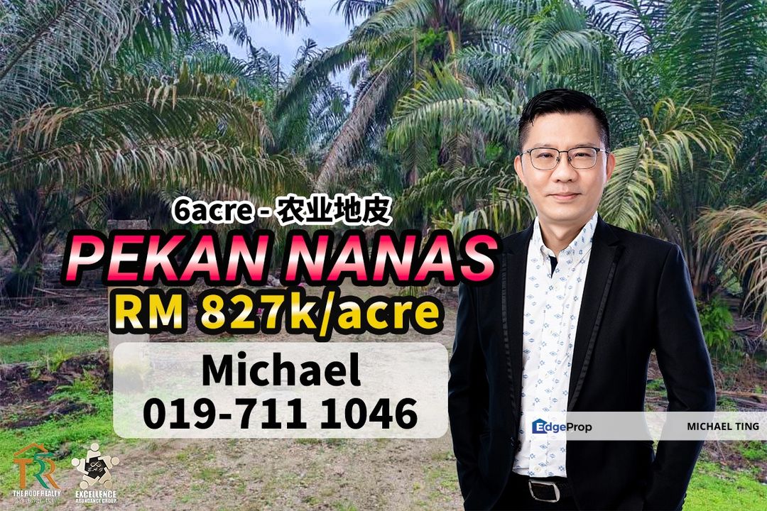 Pekan Nanas Agricultural Land For Sale, Johor, Pontian