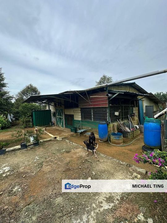 Sedenak Agricultural Land For Sale, Johor, Kulai