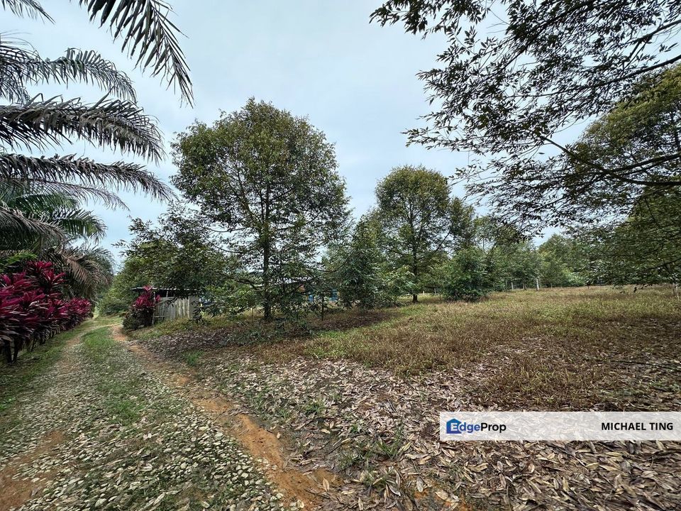Sedenak Agricultural Land For Sale, Johor, Kulai