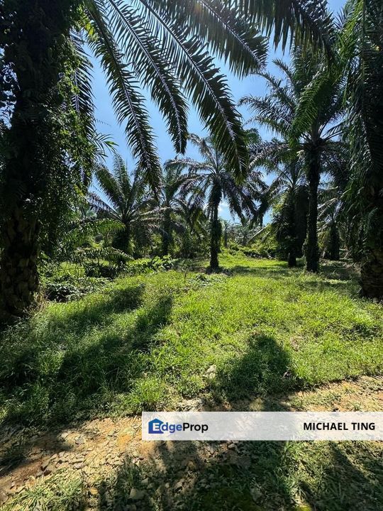 Kluang Agricultural Land For Sale, Johor, Kluang