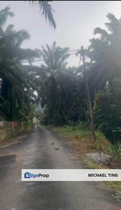 Ayer Bemban Agricultural Land For Sale, Johor, Kulai