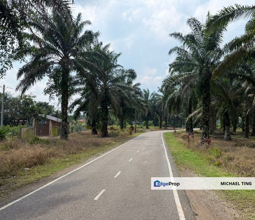 Simpang Renggam Agricultural Land For Sale, Johor, Kluang