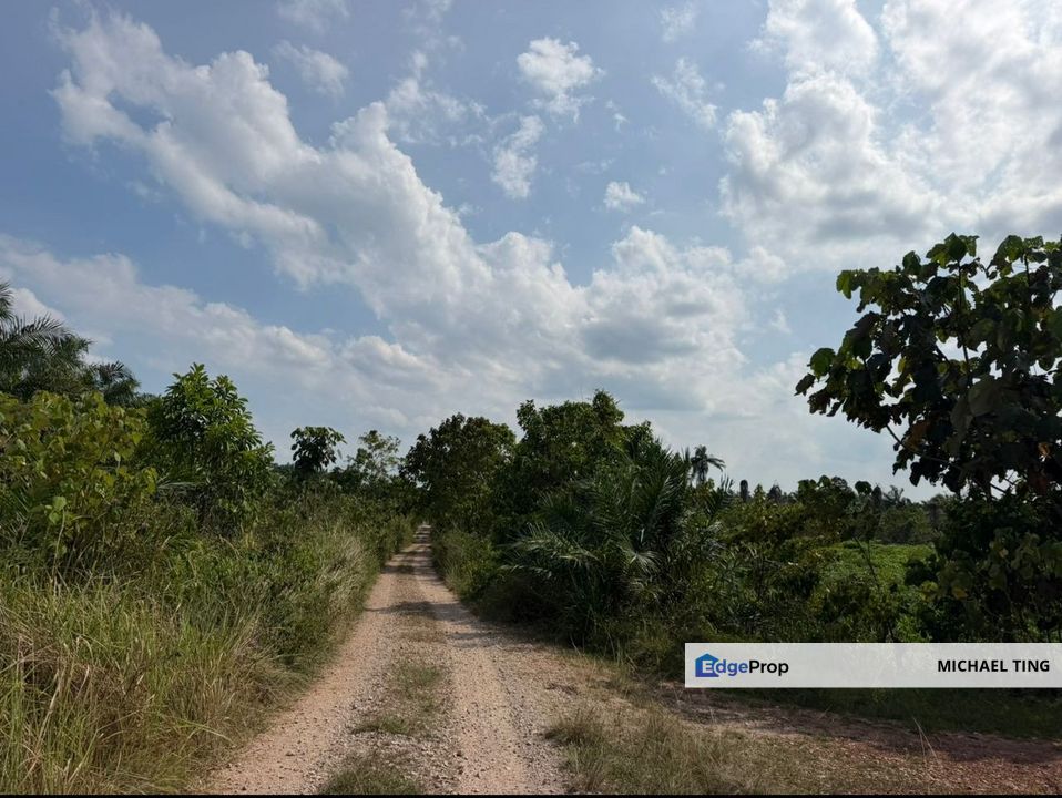 Benut Agricultural Land For Sale, Johor, Pontian