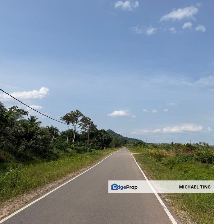 Benut Agricultural Land For Sale, Johor, Pontian