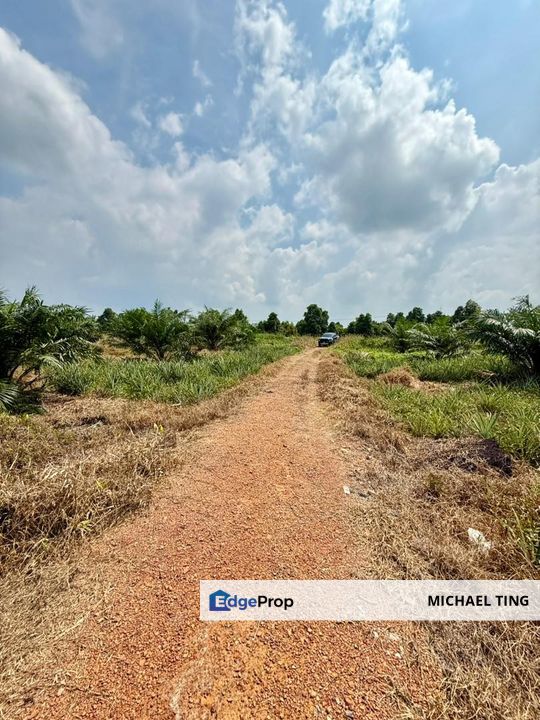 Benut Agricultural Land For Sale, Johor, Pontian