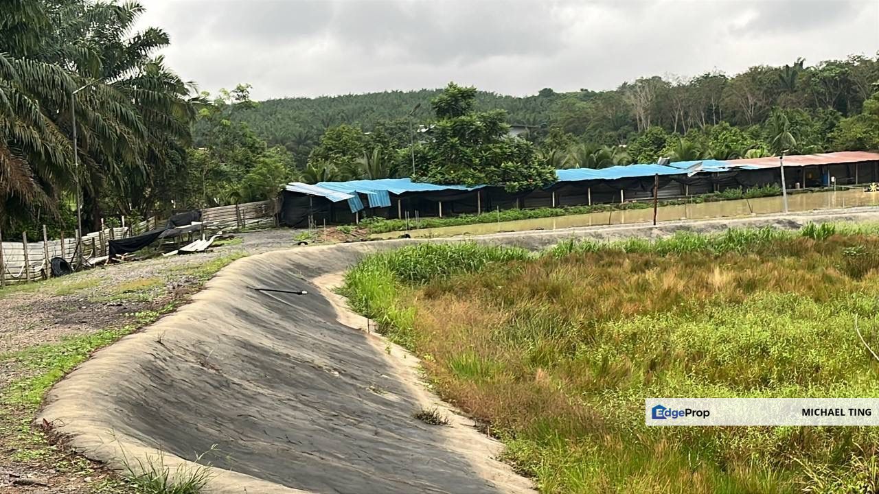 Plentong Agricultural Land For Sale, Johor, Johor Bahru