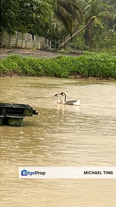 Plentong Agricultural Land For Sale, Johor, Johor Bahru