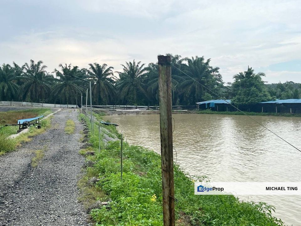 Plentong Agricultural Land For Sale, Johor, Johor Bahru