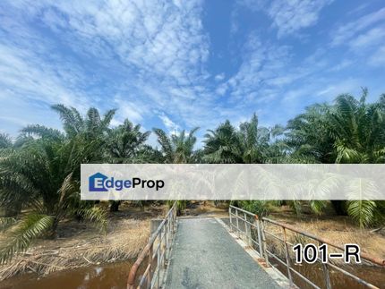 HUGE LAND!!!Surrounding Completed Residential Taman ‼️  Telok Panglima Garang nr SK TPG  Asking Price rm7mil (rm35/psf)‼️  4.64acre / 202,118, Selangor, Telok Panglima Garang