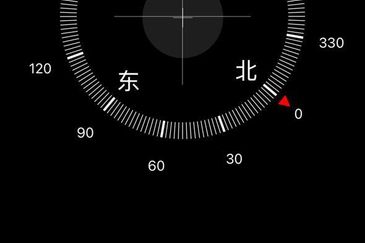 Oleander @ Kempas Utama