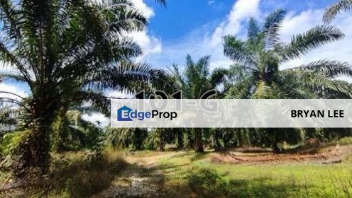 LAND FOR SALE !! Pekan Meru, Jalan Sawa Guni Agriculture Land , Selangor, Klang