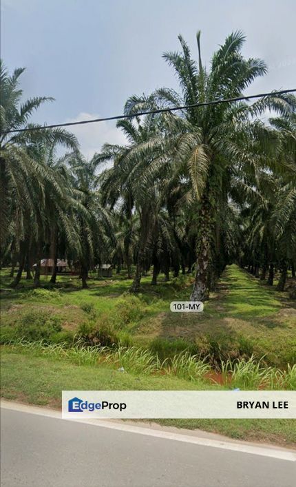 FACING MAINROAD !! LAND FOR SALE !! 3 Acre Jeram Kapar Agricultural Land , Selangor, Kuala Selangor