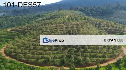 Bentong Pahang 1000 Acres Durian Farm Land FOR SALE !! , Pahang, Bentong