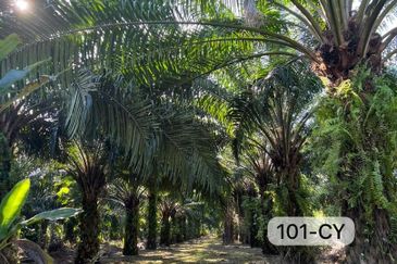 Telok Panglima Garang