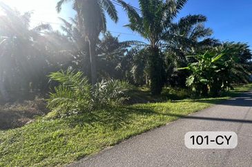 Telok Panglima Garang