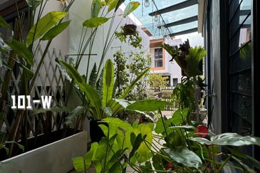 Terraza @ Eco Sanctuary