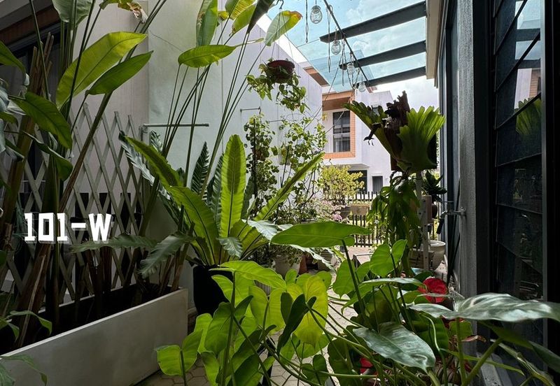 Terraza @ Eco Sanctuary