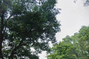 Seksyen 7, Shah Alam