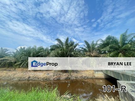 4.64 Acre Agricultural Land Zoning Residential For Sale !! Telok Panglima Garang nr SK TPG, Selangor, Telok Panglima Garang