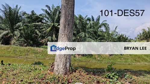 PALM OIL TREE LAND FOR SALE !! 2.68 Acres Agriculture Land With Palm Oil Tree Banting, Selangor, Banting