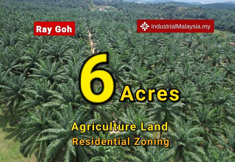 Agriculture Land residential zoning Jalan Meru, beside Setia Alam for Sale 6 acres 