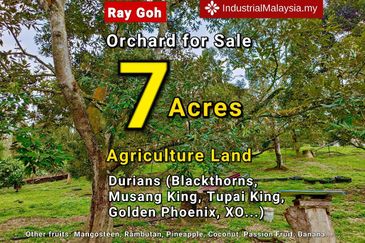 Kampung Mantin Dalam