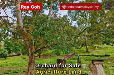 Kampung Mantin Dalam