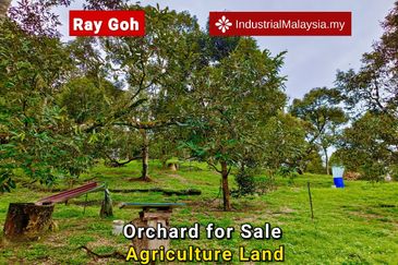 Kampung Mantin Dalam