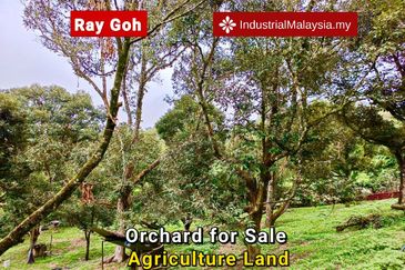 Kampung Mantin Dalam