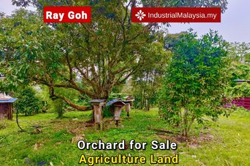 Kampung Mantin Dalam